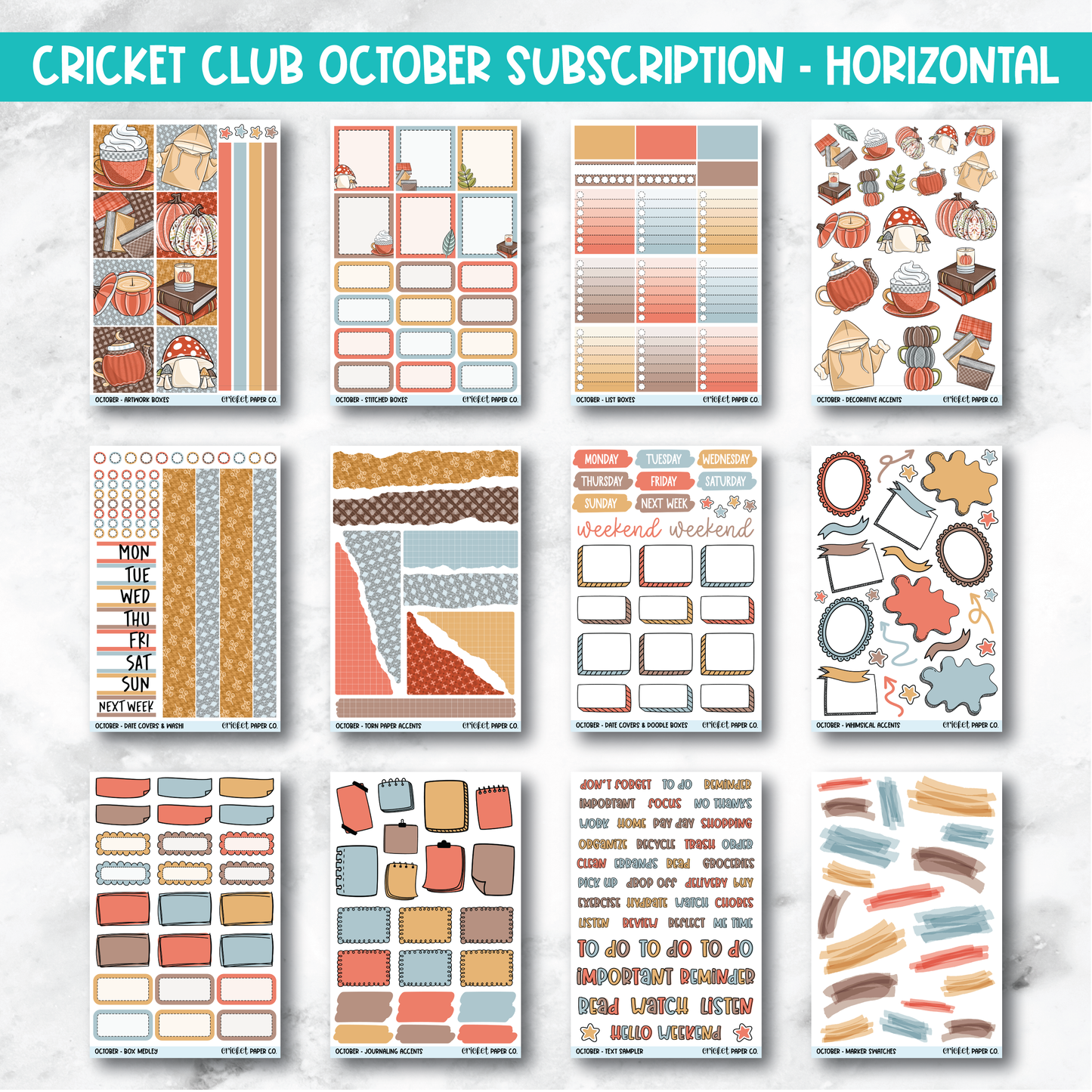 Cricket Club Subscription
