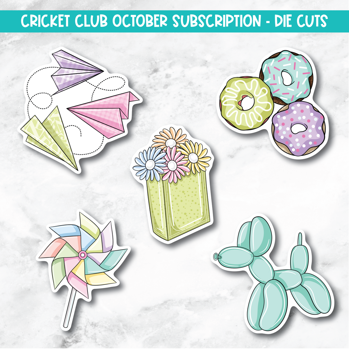 Cricket Club Subscription