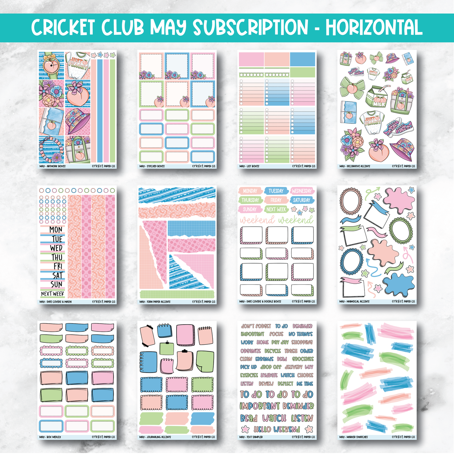 Cricket Club Subscription