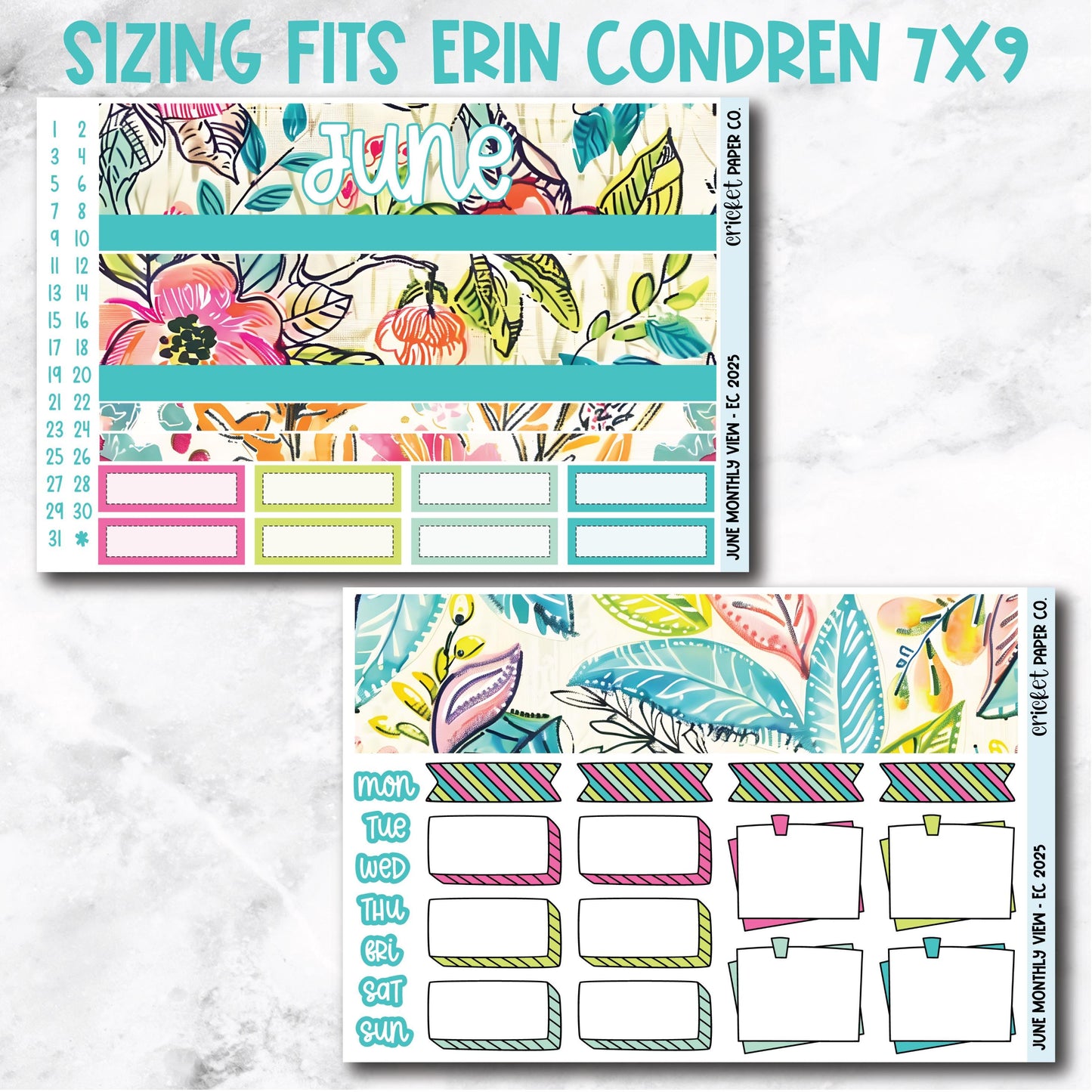 June Monthly View Planner Sticker Kit