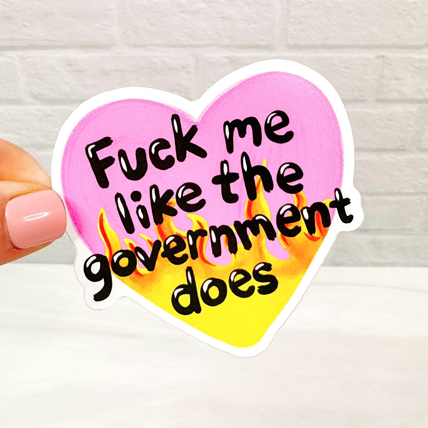 F Me Like the Government - Decorative Vinyl Sticker DC28