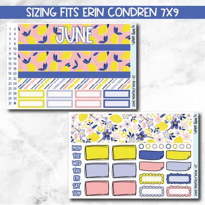 June Monthly View Planner Sticker Kit for 7x9 Planners-Cricket Paper Co.