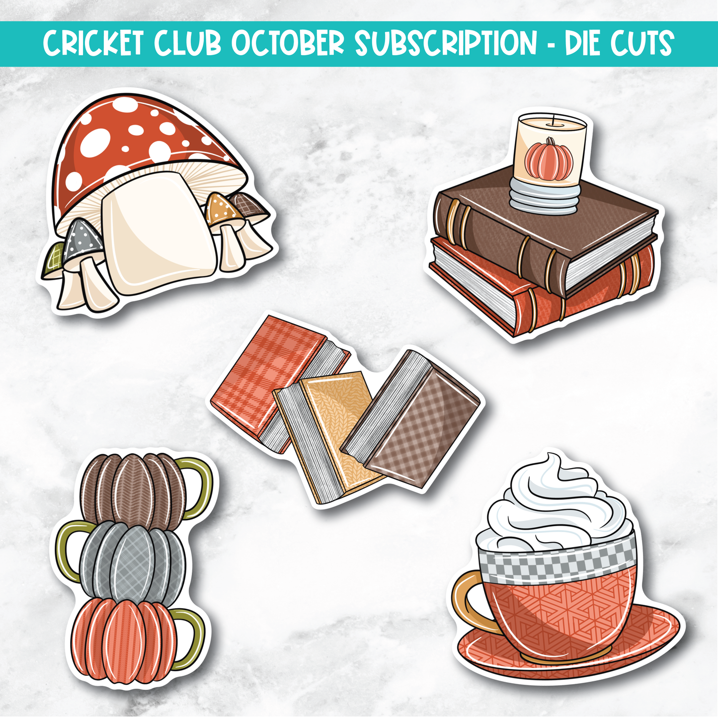 Cricket Club Subscription