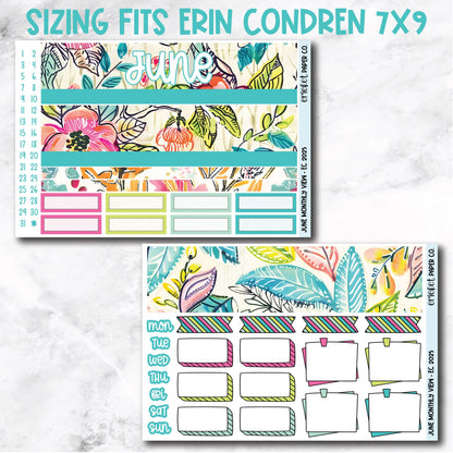June Monthly View Planner Sticker Kit