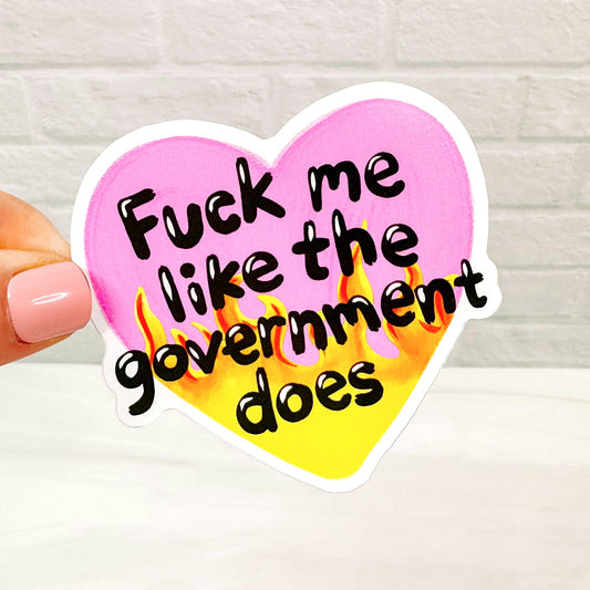 F Me Like the Government - Decorative Vinyl Sticker DC28